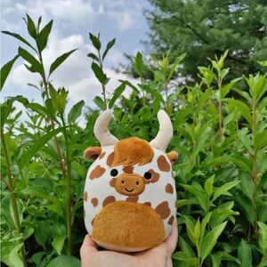 Alonzo the highland cow Squishmallows™ 7.5in NWT